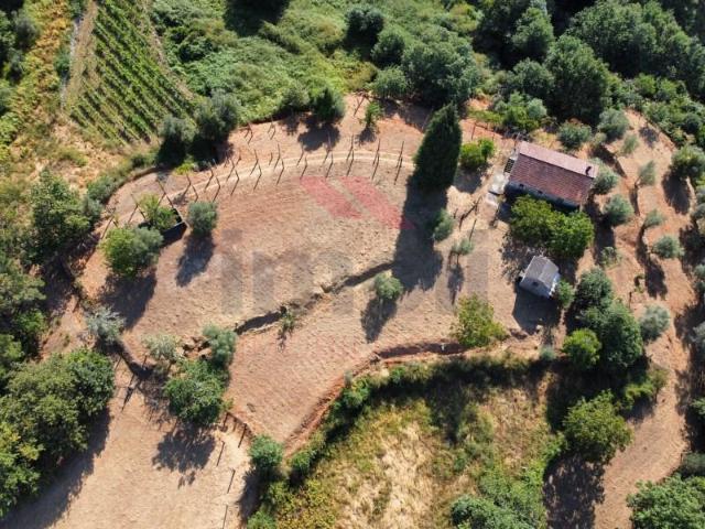 Terreno venda em Arcos De Valdevez, Viana Do Castelo
