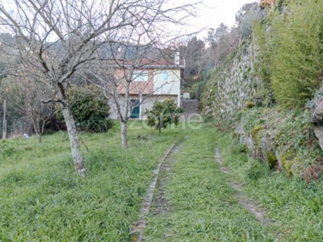 Terreno venda em Cinfães, Viseu