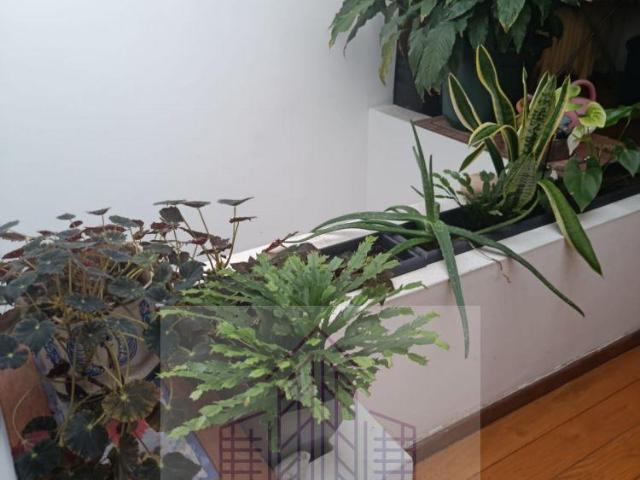 Apartamento venda em Oliveira Do Hospital, Coimbra