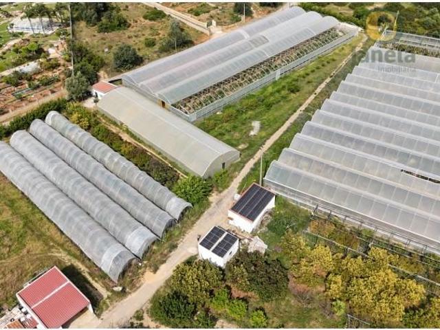Terreno venda em Olhão, Faro