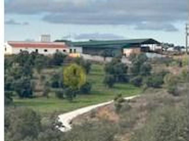 Casa venda em Reguengos De Monsaraz, Évora