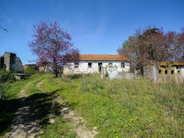 Terreno venda em Rio Maior, Santarém