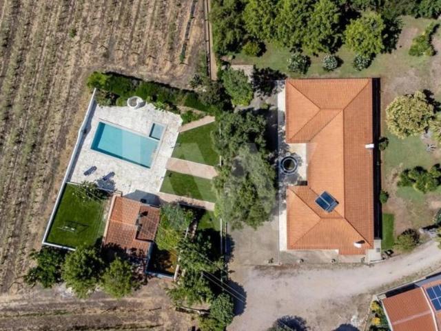 Terreno venda em Vidigueira, Beja