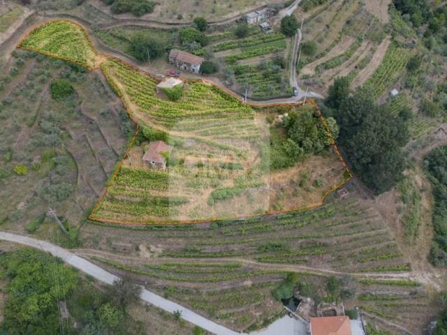 Terreno venda em Vila Real