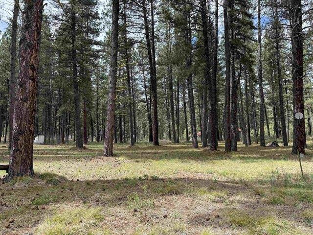 Land for sale in Idaho City, Idaho