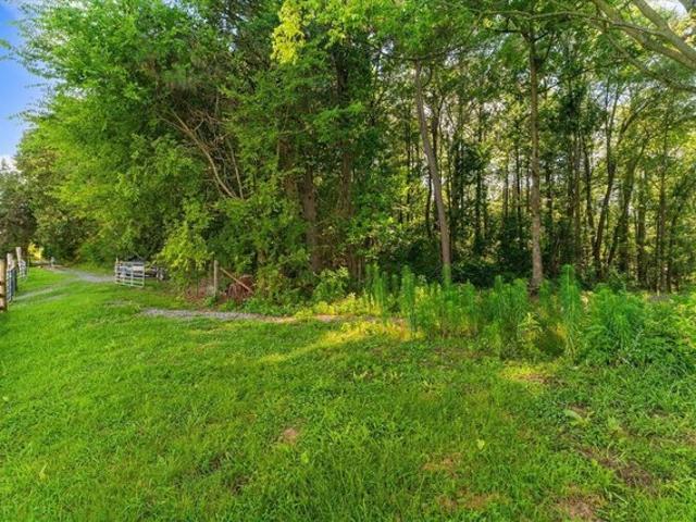 Land for sale in Old Fort, North Carolina