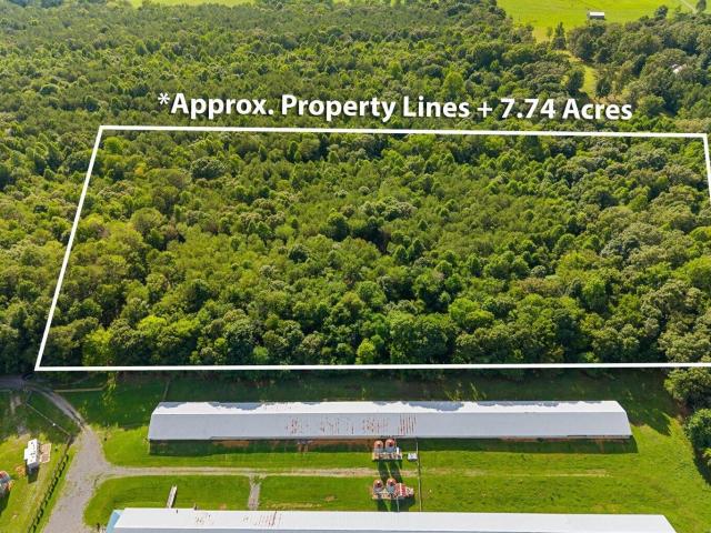 Land for sale in Oldfort, East Tennessee