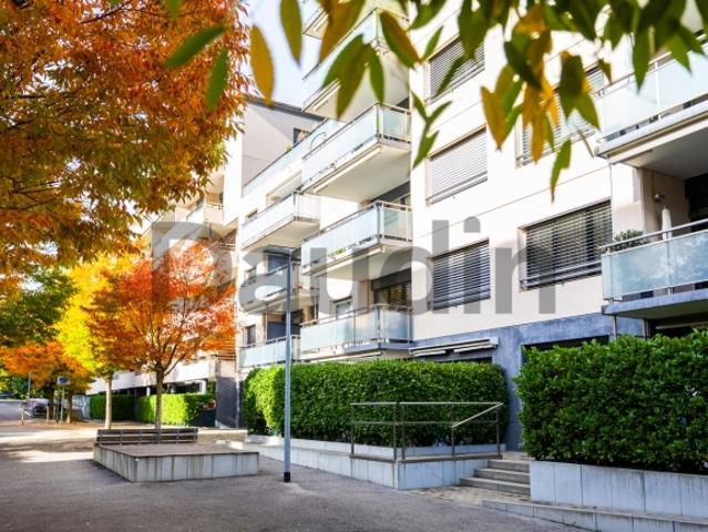 Wohnung kaufen in Le Grand-Saconnex