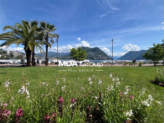 Wohnung mieten in Paradiso, Tessin