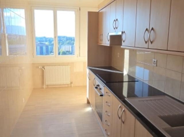 Wohnung mieten in Les Pâquis, Genève