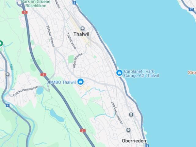 Einfamilienhaus kaufen in Thalwil, Zürich