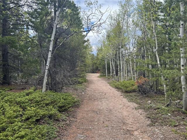 Land for sale in Central City, Colorado