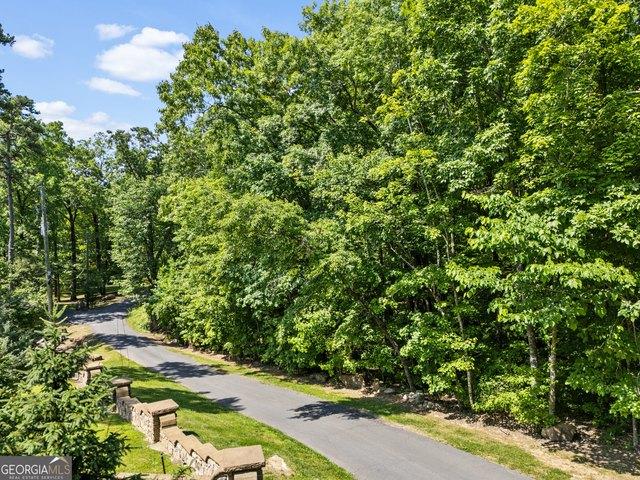 Land for sale in Menlo, Georgia