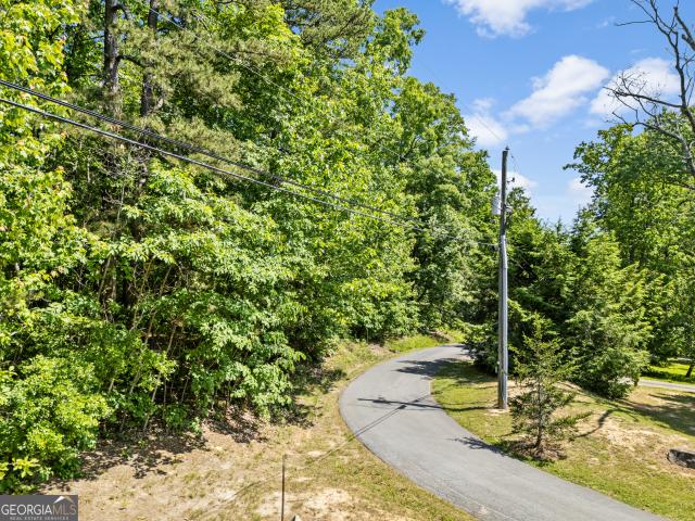 Land for sale in Menlo, Georgia
