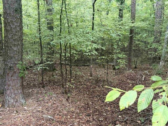 Land for sale in Ark