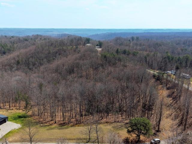 Land for sale in Livingston, Kentucky