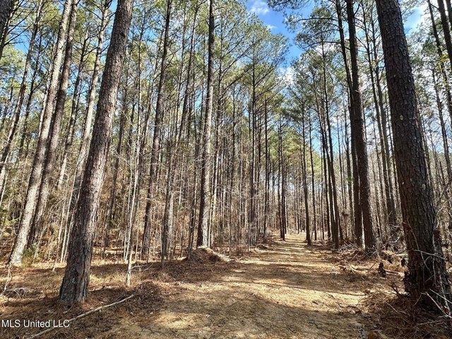Land for sale in Carthage, Mississippi