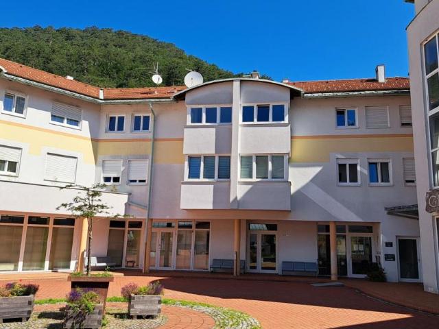 Gewerbe mieten in Gutenstein, Niederösterreich