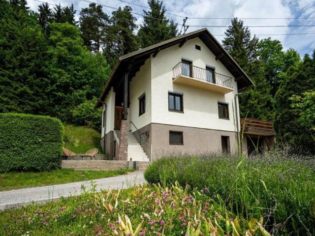 Haus kaufen in Wernberg, Kärnten