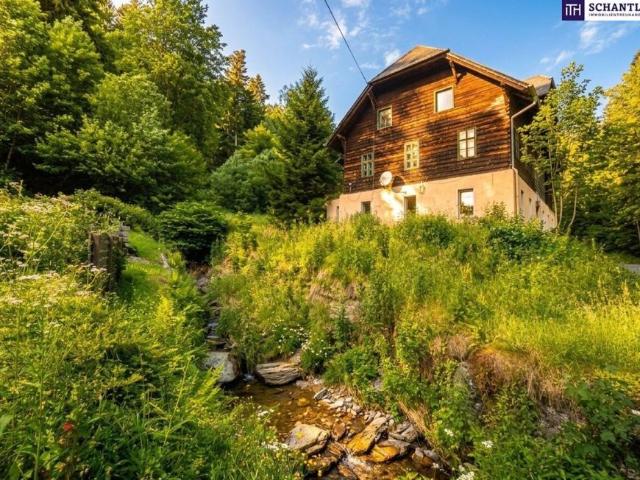 Haus kaufen in St. Lorenzen am Wechsel, Steiermark