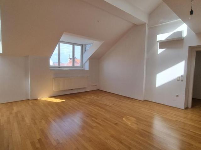 Wohnung mieten in Innere Stadt, Wien