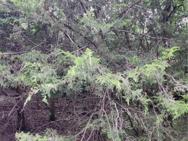 Land for sale in Kansas