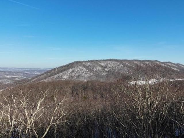 Land for sale in Virginia