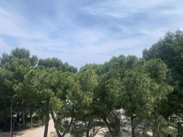 Appartamento in affitto a Centro, Marche