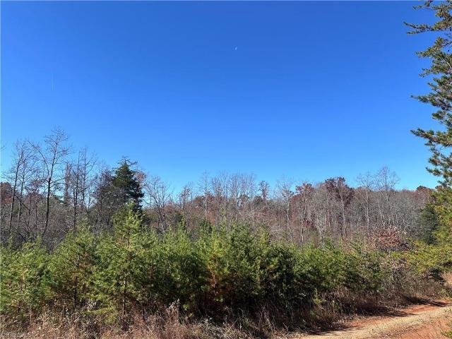 Land for sale in Stokes, North Carolina