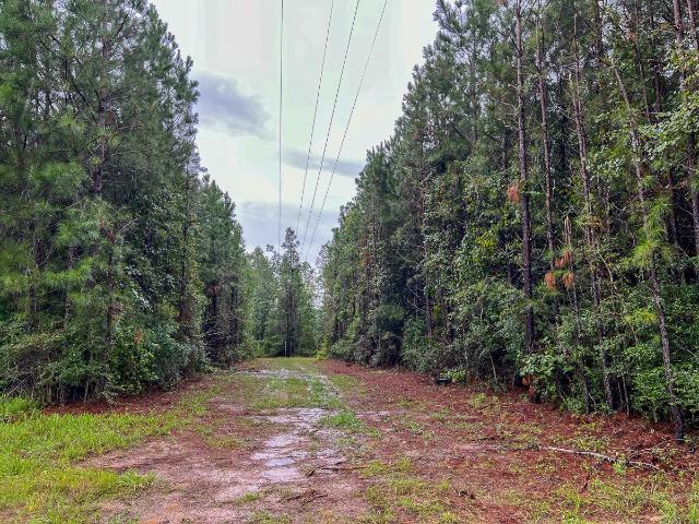 Property for sale in Polk, Texas