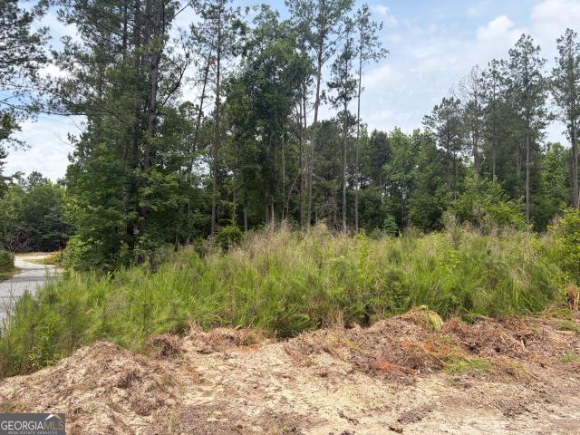 Land for sale in Davisboro, Georgia