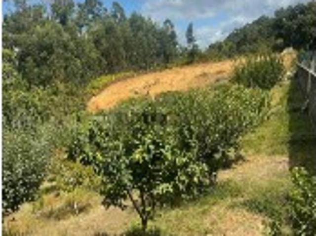 Terreno venda em Monção, Viana Do Castelo