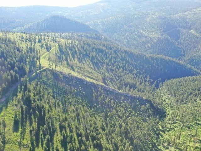 Land for sale in Granite, Montana
