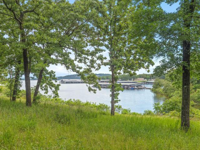 House for sale in Stone, Missouri