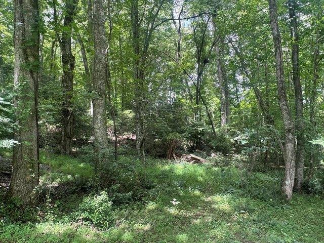 Land for sale in Brasstown, North Carolina