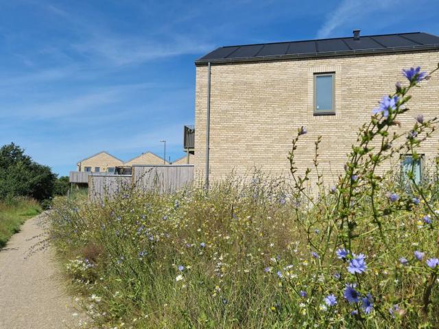 Villa til leje i Herning, Århus