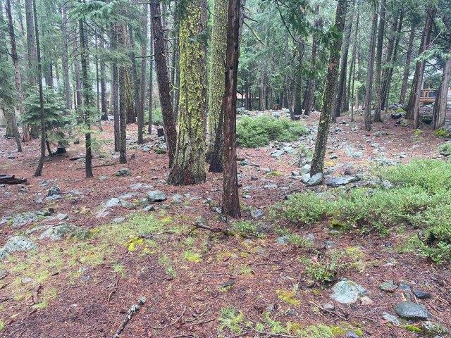 Land for sale in Graeagle, Plumas County