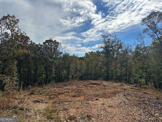Land for sale in Dawsonville, Dawson County