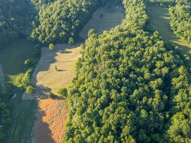 Land for sale in Tennessee