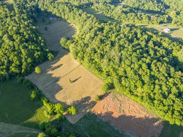 Land for sale in Pulaski, Middle Tennessee