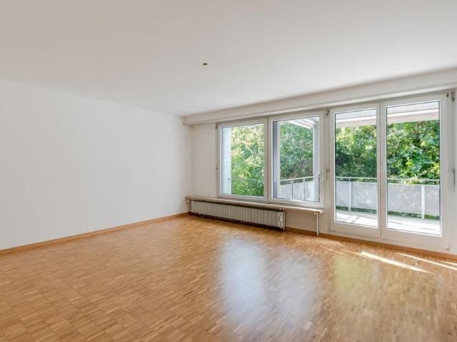 Apartment mieten in Dreibeinskreuz, Solothurn