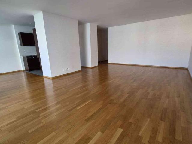 Apartment mieten in Carouge (GE)