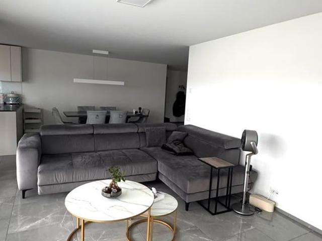 Apartment mieten in Birr, Aargau