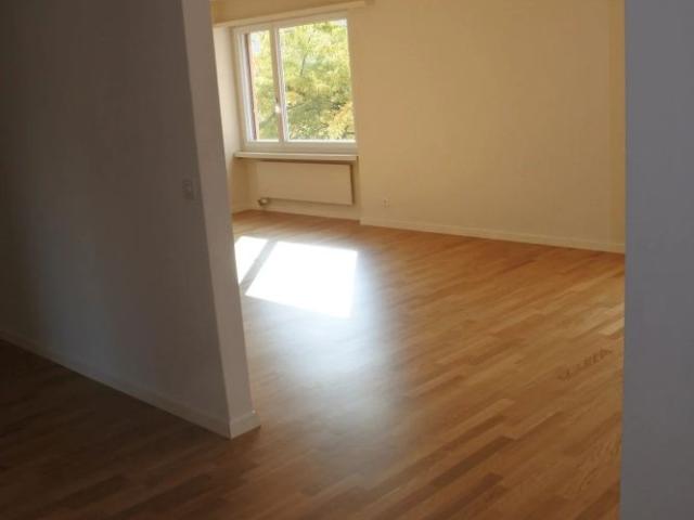 Apartment mieten in Schlieren, Zürich