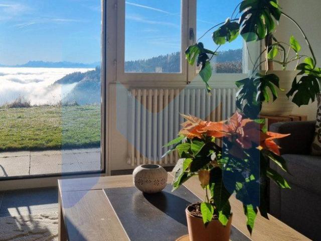 Apartment mieten in Sainte-Croix, Waadt