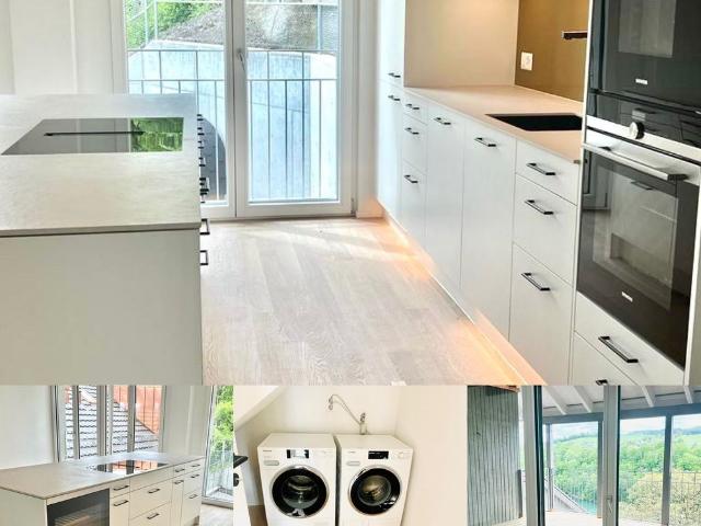 Apartment mieten in Uhwiesen, Zürich