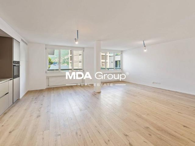 Apartment mieten in Paradiso, Tessin