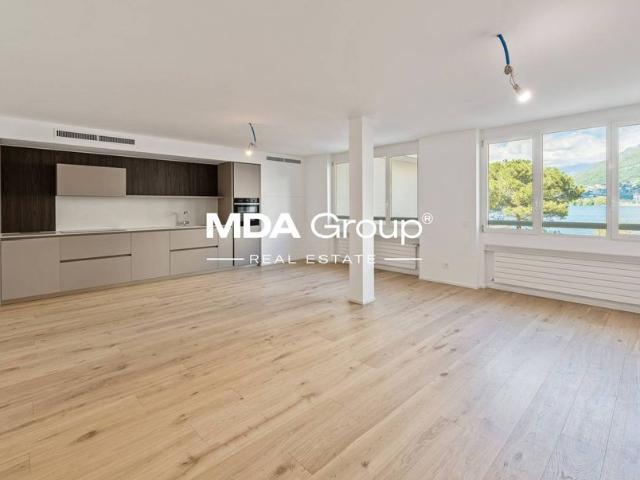 Apartment mieten in Paradiso, Tessin