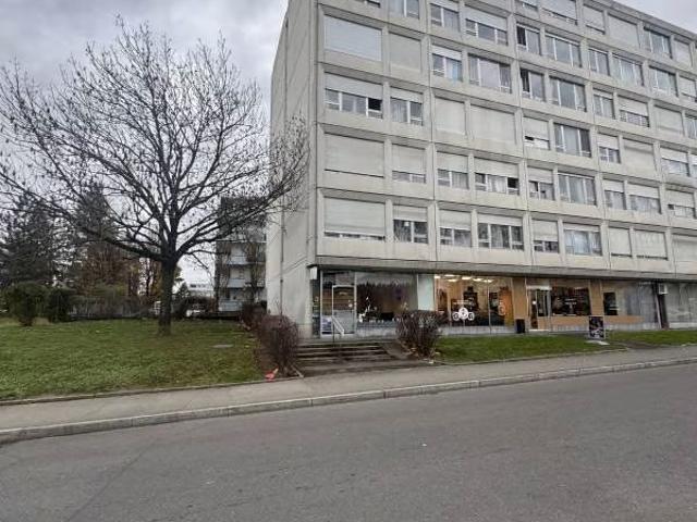 Apartment mieten in Meyrin
