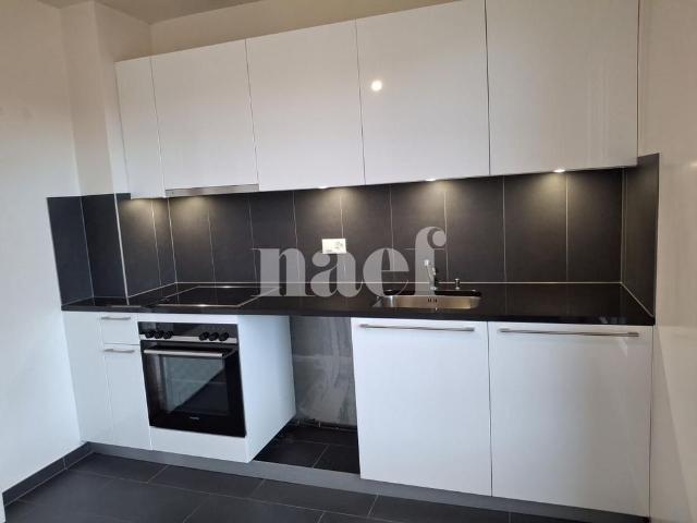 Apartment mieten in Carouge (GE)